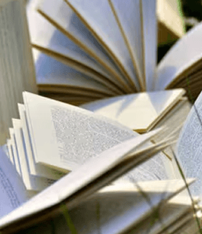 Merit-Based Scholarship